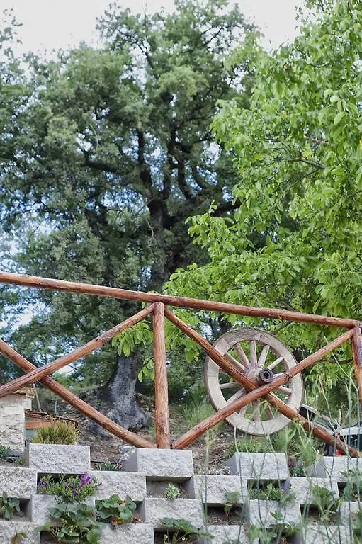 Casa Vacanze Toscana Il Puggio Villa Capolona